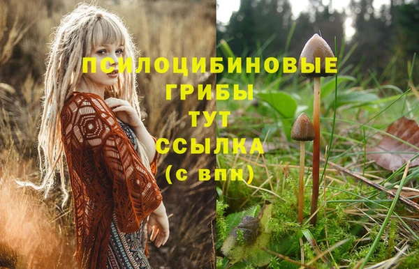 jwh Покров