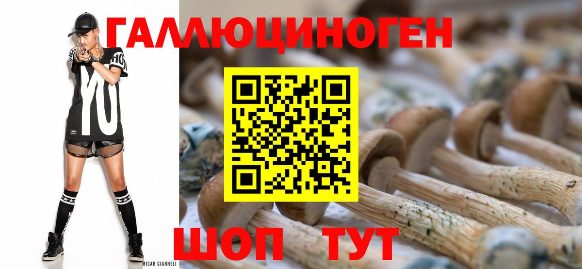 Псилоцибиновые грибы Cubensis Тобольск